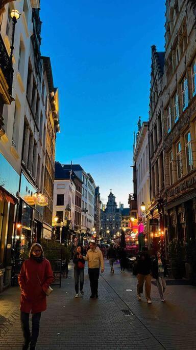 Cozy Antwerp - Cityview Studio Free Parking Bagian luar foto